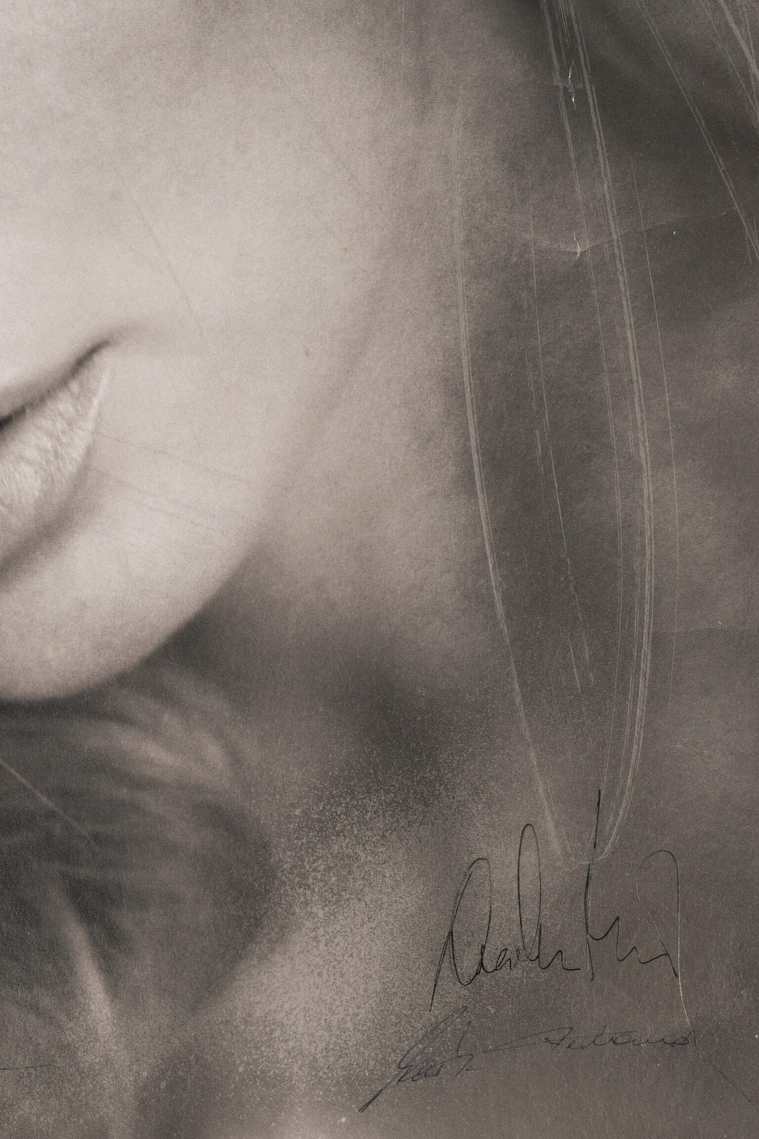 The-Look-of2 The-Look-of2