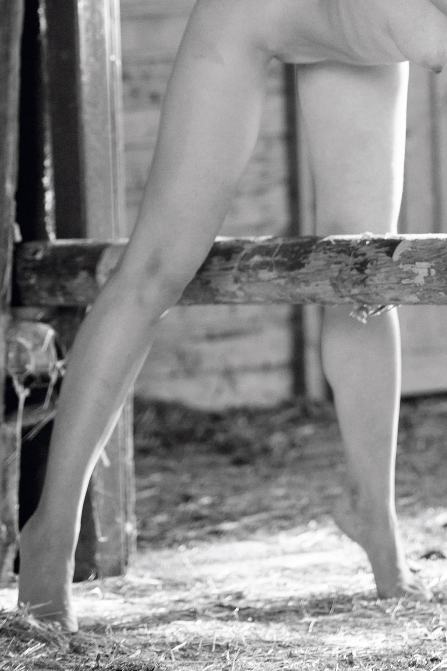 Barnyard-Harmony3 Barnyard-Harmony3